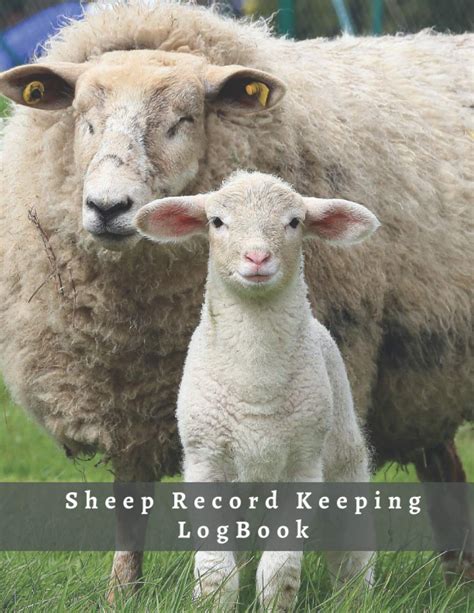 Buy Sheep Record Keeping Logbook Vital Information And Medical Journal Complete Profile
