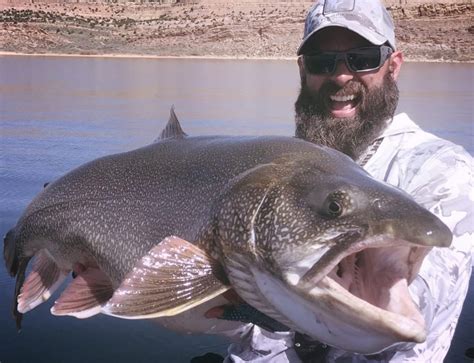 Giant State Record Lake Trout Caught In Utah Flylords Mag