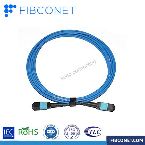 Fiber Optic Cores Multimode Jumper Cable Mpo Mtp Patch Cord Om Om