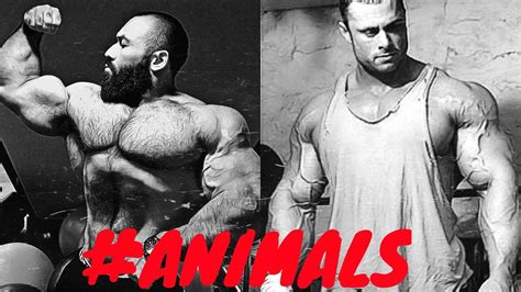 Bodybuilding Motivation Animal Planet 2015 New Youtube