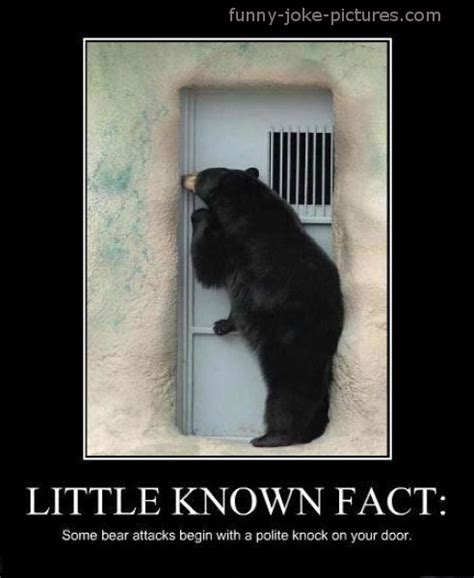 Bearably Funny Bear Memes ~ Funny Joke Pictures