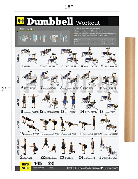 Dumbbell Exercises Workout Poster Now Laminated Home Gym Workout Plans For Men Free