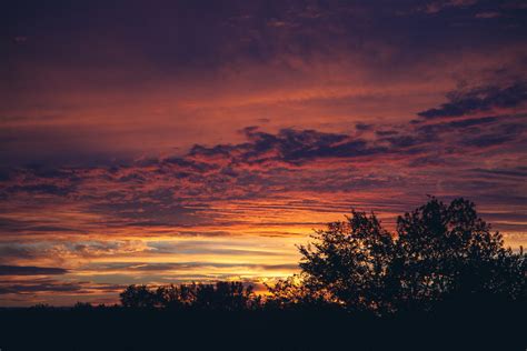 Free Images Tree Horizon Silhouette Cloud Sun Sunrise Sunset
