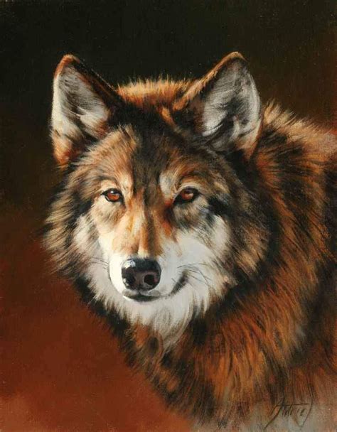 Wolf Portrait Wolf Portrait Wolf Painting Animal Paintings Acrylic