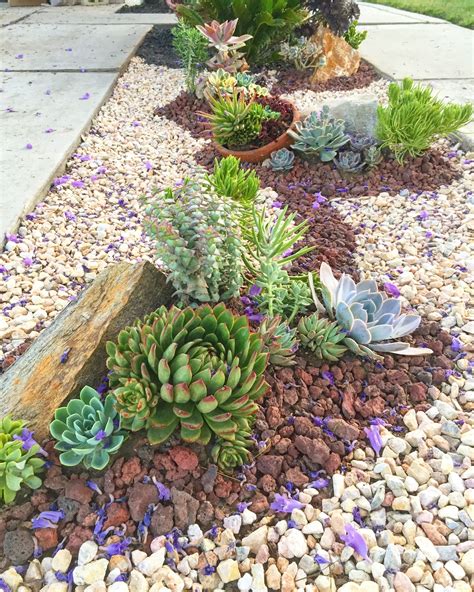 20 Succulent Rock Garden Design Decoomo
