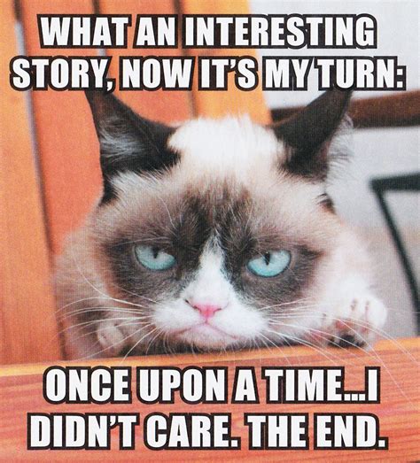 Grumpy Cat Interesting Story Grumpy Cat Humor Grumpy Cat Quotes