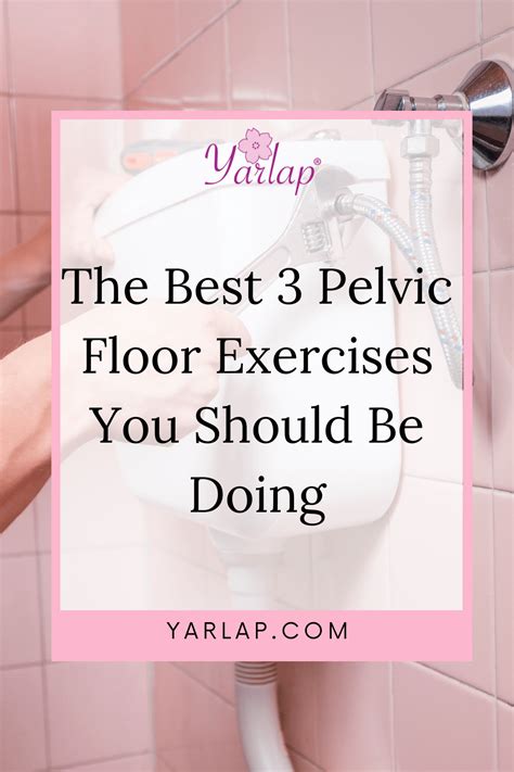 The Best 3 Pelvic Floor Exercises You Should Be Doing Yarlap