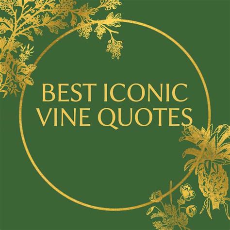 Best Iconic Vine Quotes People Still Recite On A Daily Basis Legitng