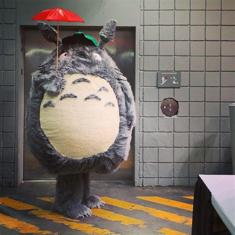 I Was Totoro At New York Comic Con Imgur