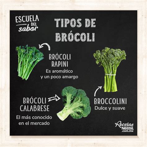 Aprende Todo Sobre El Brócoli Recetas Nestlé