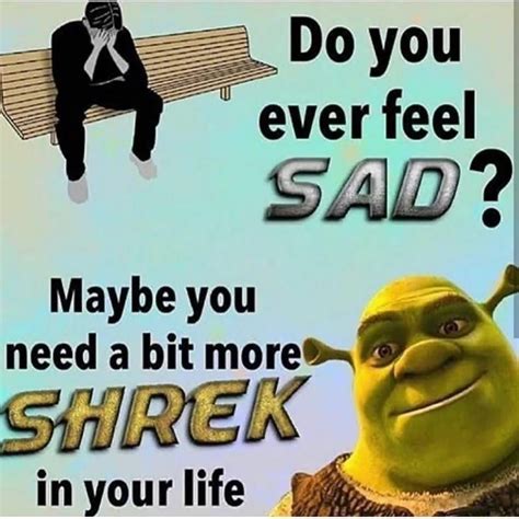 Shrek Memes Dankest Memes Jokes Buzzfeed Quizzes Clean Humor Funny