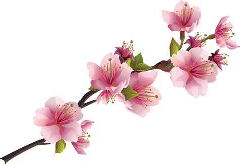 Flower png you can download 33 free flower png images. Pink Flowers Png & Free Pink Flowers.png Transparent ...