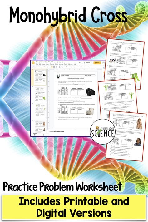 Punnett square problems name date period genetics problems from punnett square practice worksheet answers , source: Monohybrid Punnett Square Worksheet | Printable and ...