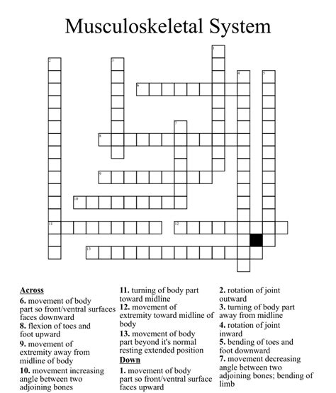 Musculoskeletal System And Related Terms Crossword Wordmint