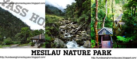 Kundasang, tempat yang sesuai untuk mereka yang ingin bercuti jauh daripada kesibukkan bandar. Tempat-tempat menarik di Kundasang, Ranau. (Pilihan Yass ...