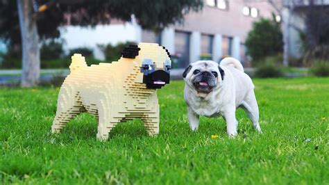 A Life Size Custom Made Lego Version Of Your Dog Is A Thing You Could