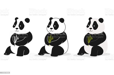 Cute Panda Bear Eat Bamboo Vector Cartoon Set Isolated On A White
