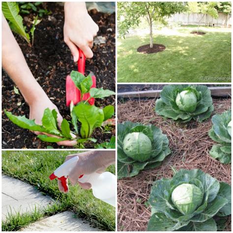 A weed becomes a problem in your yard when it competes with your plantings for nutrients in the soil, sunlight, and water. 14 Tips Get Rid of Weeds From the Garden Once and For all