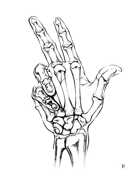 Simple Skeleton Hand Drawing Skeleton Drawing On Hand At Getdrawings