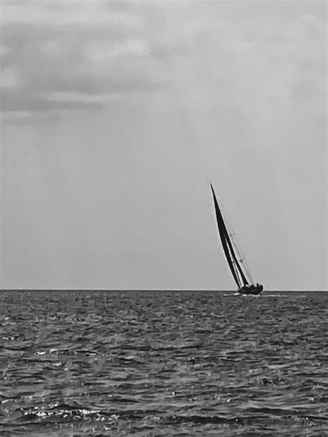 Sail Away With Me On Tumblr