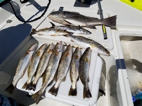 Tides Turn Fishing Charters Cedar Key All You Need To Know Before