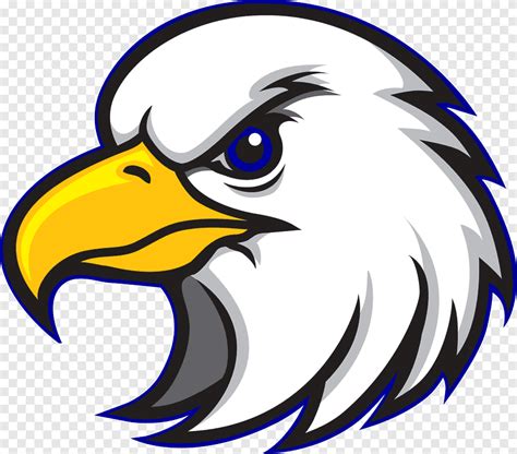 Bald Eagle Head Logo Logo Mascot Company Eagle Hawk Sport Bald