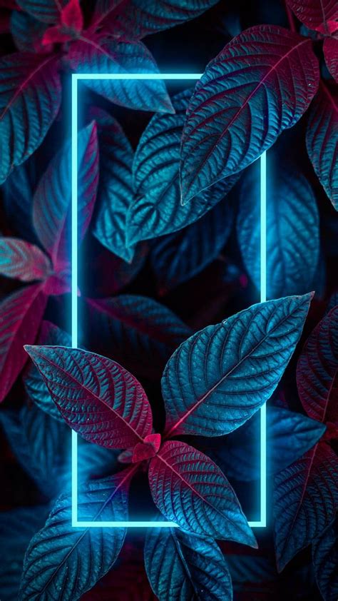 Neon Nature Foliage Wallpaper Iphone Wallpapers