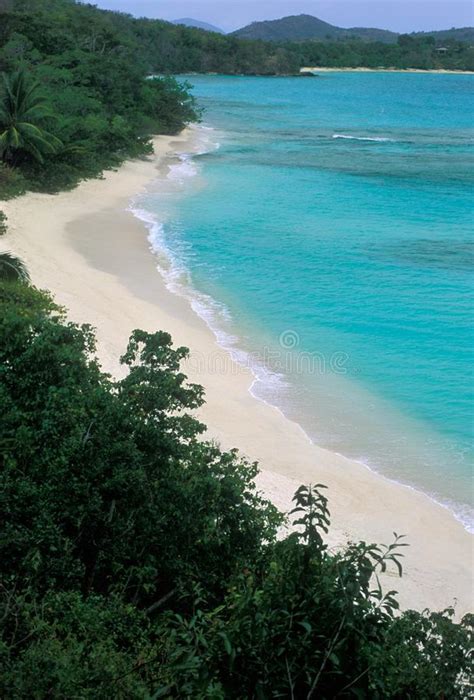 Hawksnest Beach On St John In The Us Virgin Islands Stock Image Image