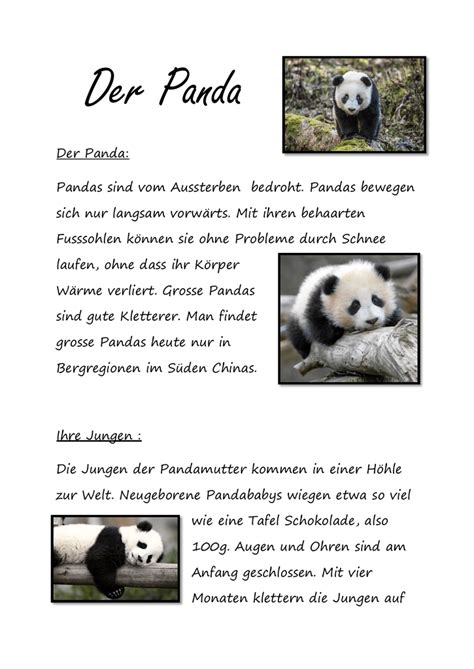 Der Panda Pandas Sind Vom Aussterben Bedroht Pandas Bewegen