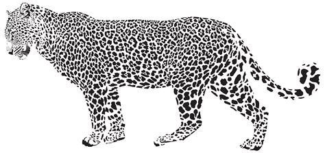 Leopard Outline Clipart