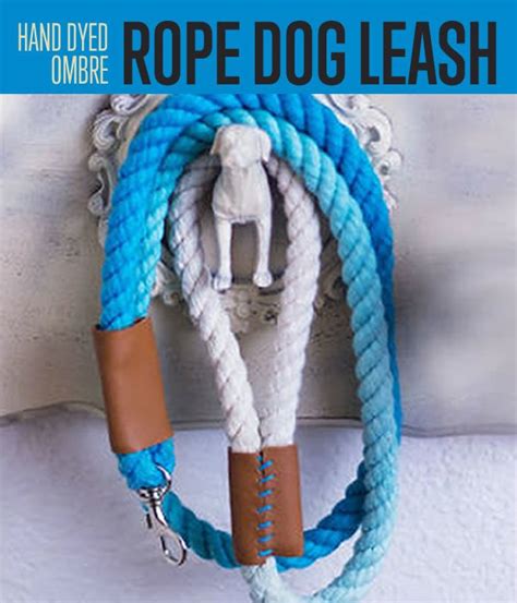 Ombre Rope Dog Leash Diy Projects Craft Ideas And How Tos For Home Decor