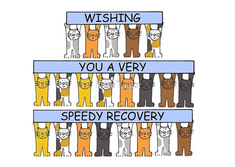 Speedy Recovery Cute Cartoon Cats Holding Banners By Katetaylor Redbubble