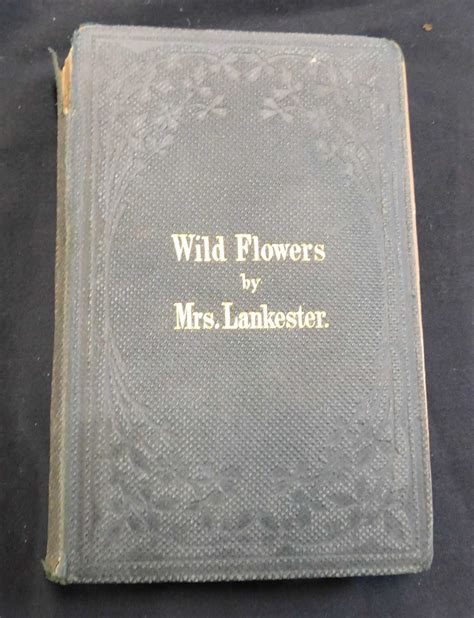 Lot 275 Mrs Phebe Lankaster Wild Flowers Worth