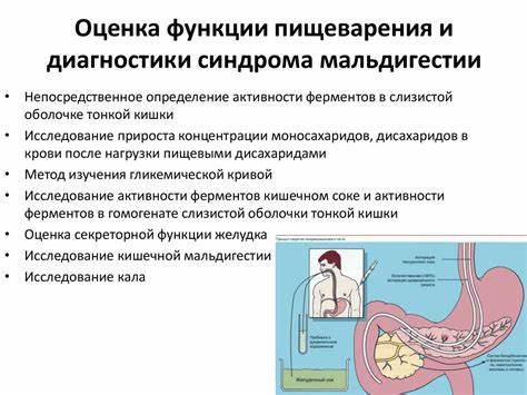 Синдром мальдигестии диета Основные синдромы при заболеваниях кишечника - online presentation Основные синдромы при заболеваниях кишечника - online presentation Синдром мальдигестии диета
