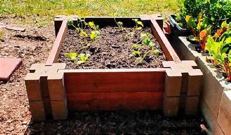 Easy Raised Garden Bed Building A Diy Raised Vegetable Garden Bed