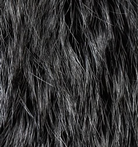 Fur Texture Stock Image Image Of Grey Artificial Wolf 30372449