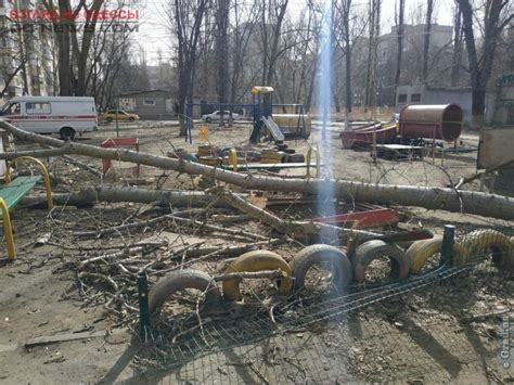 Интересные новости в одессе и. В Одессе на детскую площадку рухнуло дерево: есть ...