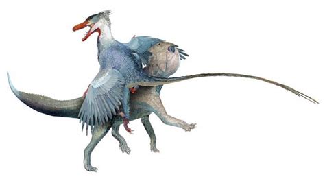 Velociraptor Attacking A Protoceratops Prehistoric