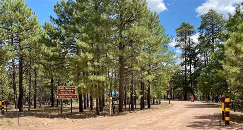 7 White Mountain Camping Spots To Experience Eastern Arizona