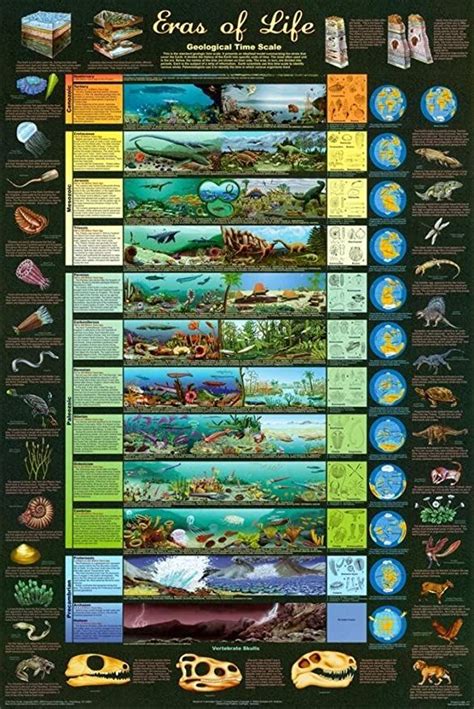 Laminated Eras Of Life Geological Time Scale Educational Science Chart