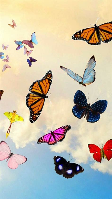 Lockscreen Butterfly Wallpaper Tumblr Download Free Mock Up