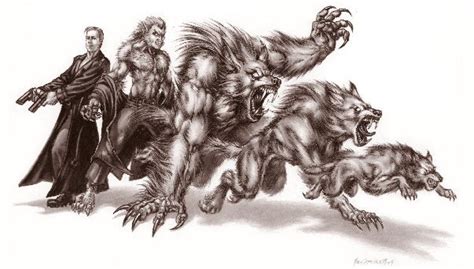 Werewolf Transformation Facts That Will Blow Your Minds Dreame
