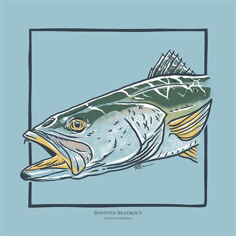 Spotted Seatrout Digital Art By Kevin Putman Pixels