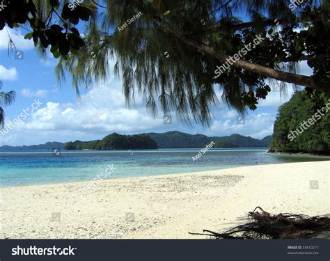 Beach In Palau Micronesia Stock Photo 33810277 Shutterstock