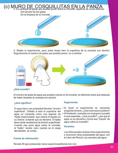 Pin De Danna Esther Perez En Experimentos Caseros Experimentos Experimentos De Ciencias