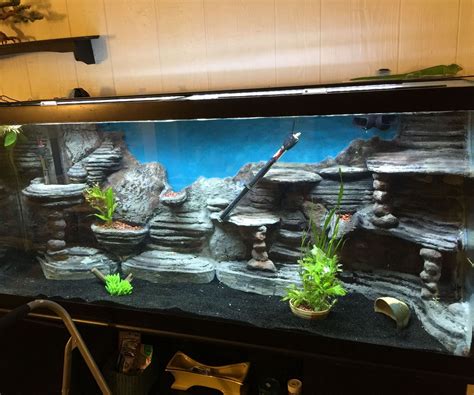 I Made This Background For My 120 Gallon Aquarium It Was Actually