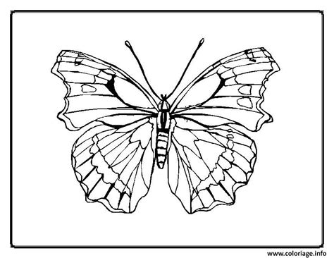 Coloriage Papillon 137