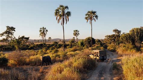 luxe safari reizen ruaha national park tanzania travel platinum