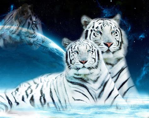Recopilación con las mejores páginas web para descargar fondos y wallpapers gratis para tu ordenador, móvil o tablet. Facts About the White Tiger - White Tigers