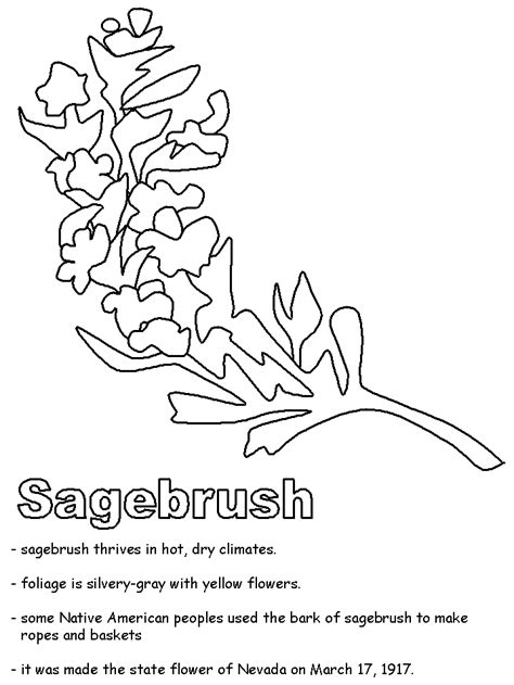 Nevada Sagebrush Coloring Pages Coloring Pages